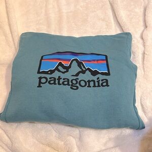 Patagonia mountain logo hoodie